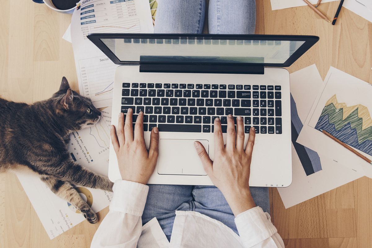 Apakah Work From Cafe Lebih Sehat daripada Work From Home?
