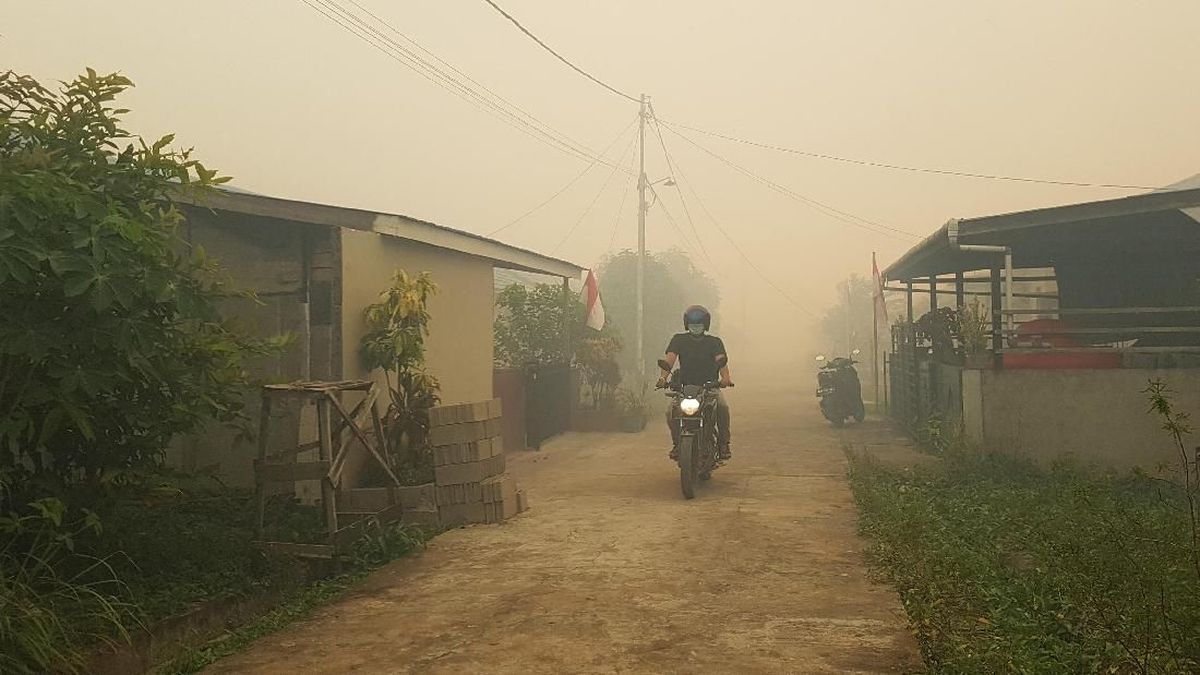 Cara Mengurangi Paparan Kabut Asap di Rumah
